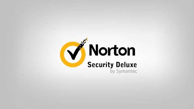 norton_2024_